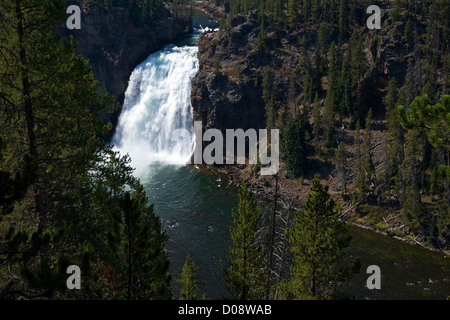 La Tombe d'Upper Falls View, Grand Canyon de la Yellowstone River, le Parc National de Yellowstone, Wyoming, USA Banque D'Images