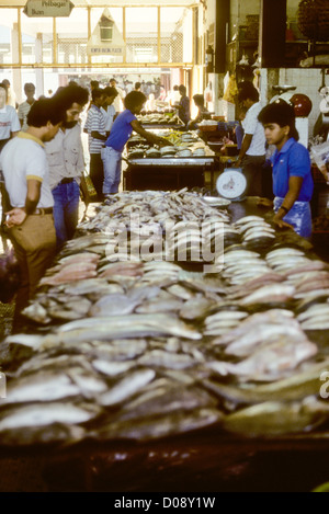 Bateaux de pêche,les poissons,Légumes,Plages,soleil,plantations de cocotiers, Jungle,Mosquée,Kuala Terengganu, Malaisie Côte Est Banque D'Images