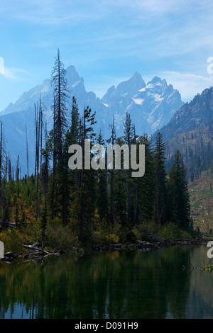 String Lake, Grand Teton National Park, Wyoming, USA Banque D'Images