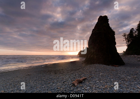 WA06656-00...WASHINGTON - Coucher du soleil à Ruby Beach sur la côte du Pacifique dans le parc national Olympic. Banque D'Images