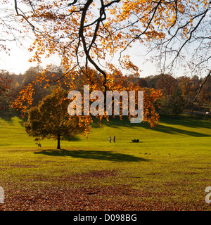 En scène d'automne anglais Gadebridge Park, Hemel Hempstead, Hertfordshire, Royaume-Uni. Banque D'Images