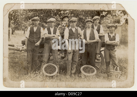 Original charmant début 1900 carte postale édouardienne scène photo de Kentish cueilleurs de fruits - jeunes hommes portant des casquettes plates, des vêtements de travail, de la région de Medway de Kent avec des paniers de cerises. Ils ont un chien avec eux. Certains caractères. La lade à l'avant, au milieu de la photo, s'appelait Holamby, la famille vit encore à Chatham et à Gillingham, dans le Kent. Royaume-Uni vers 1907 Banque D'Images