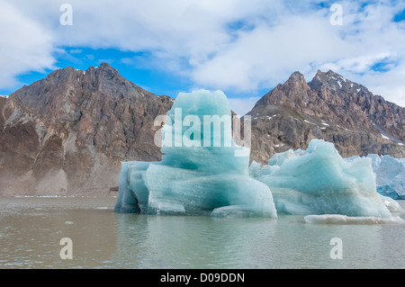 Kongsfjorden, la côte ouest du Spitzberg, archipel du Svalbard, Norvège Banque D'Images