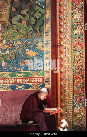 Études jeune moine bouddhiste temple extérieur livre de prière, Monastère de Tashilhunpo à Shigatse, Tibet, Chine, Banque D'Images
