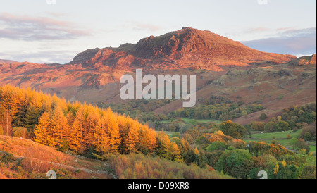 Avis de Harter a chuté et Eskdale de Little Barrow, en automne, la lumière du soleil du soir de Lake District Banque D'Images