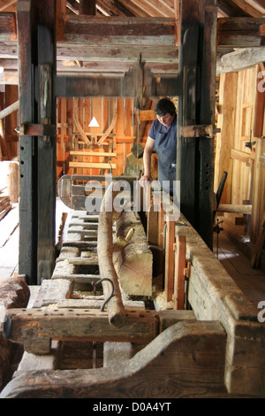 Ancien moulin à scie de propulsion à eau dans le Parc National du Stelvio, Alpes italiennes. Banque D'Images