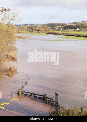 Devon, Royaume-Uni. 21 novembre 2012. L'inondation adjacente à la Great Western main line près de Tiverton Parkway station. Banque D'Images