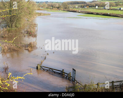 Devon, Royaume-Uni. 21 novembre 2012. L'inondation adjacente à la Great Western main line près de Tiverton Parkway station. Banque D'Images