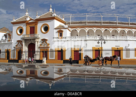 PLAZA DE TOROS DE LA MAESTRANZA ARENA DATANT DU 18ème siècle en style baroque de Séville Séville Andalousie Espagne Banque D'Images