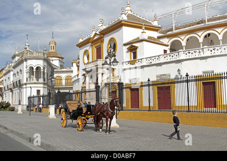 PLAZA DE TOROS DE LA MAESTRANZA ARENA DATANT DU 18ème siècle en style baroque de Séville Séville Andalousie Espagne Banque D'Images