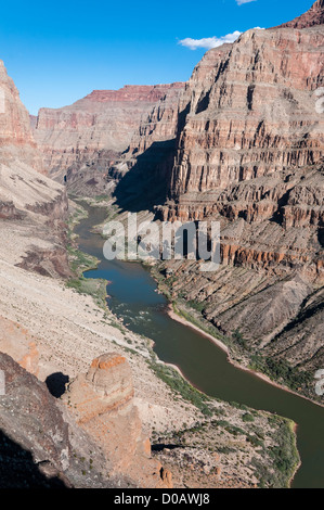 Fleuve Colorado à Whitmore Canyon Overlook, Grand Canyon-Parashant National Monument, Arizona, de l'Arizona. Banque D'Images