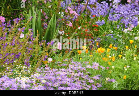 Jardins de fleurs boarder à Howick dans le Northumberland. Banque D'Images