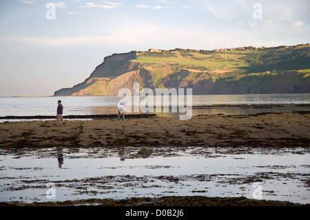 Comme coucher de soleil sur Robin Hood's bay holiday makers s'aventurer sur les rochers et les piscines comme la vague de retraites. La pointe de soleil. Banque D'Images