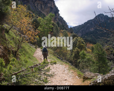 Randonnée dans la réserve naturelle de Cazorla Sierrra en Andalousie Espagne, male hiker ordre croissant dans les montagnes de la vallée Borosa Banque D'Images