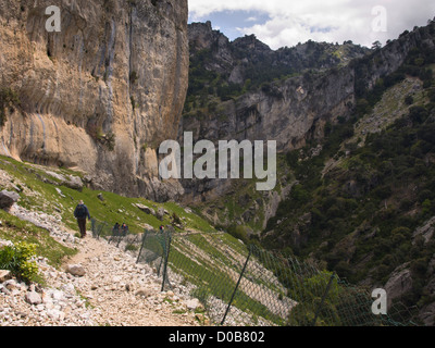 Randonnée dans la réserve naturelle de Cazorla Sierrra en Andalousie Espagne, les randonneurs en pente abrupte avec un grillage de protection de la montagne Banque D'Images