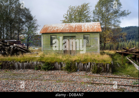 Une voie de chemin de fer platelayers hut avec windows peint avec des rideaux en dentelle et des vases à Rannoch Station sur la West Highland Line, les Highlands écossais. Banque D'Images