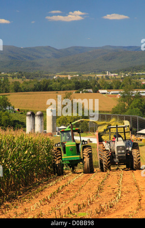 Couper le maïs, Dayton, vallée de Shenandoah en Virginie, USA Banque D'Images