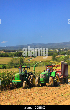 Couper le maïs, Dayton, vallée de Shenandoah en Virginie, USA Banque D'Images