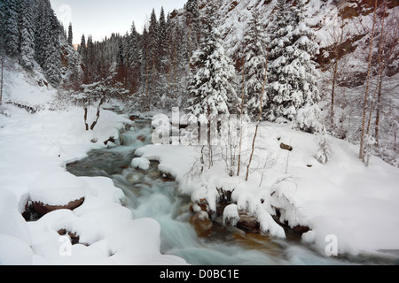 Rivière de montagne en hiver Banque D'Images