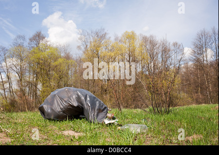 Garbage dump dans le sac en plastique dans les bois Banque D'Images