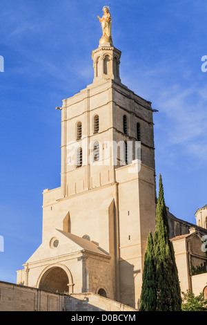 Avignon - Notre Dames des dômes église près de Palais Papal, Provence, France Banque D'Images