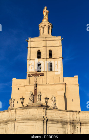 Avignon - Notre Dames des dômes église près de Palais Papal, Provence, France Banque D'Images