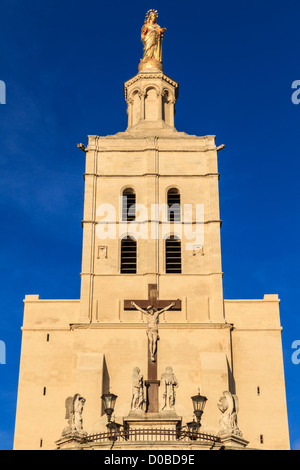 Avignon - Notre Dames des dômes église près de Palais Papal, Provence, France Banque D'Images