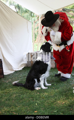 Père Noël venant de l'ouest dans une tente avec une atténuation des cadeaux de Noël un chien Banque D'Images