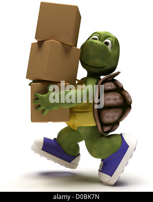 3D Render of a Tortoise et boîtes Banque D'Images