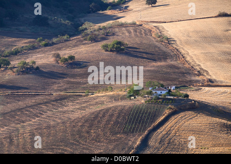 Vue typique de l'Andalousie - villa blanche sur la colline et les champs Banque D'Images