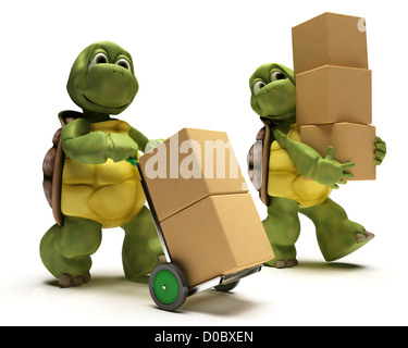 3D Render de la Tortue avec les caisses d'expédition Banque D'Images