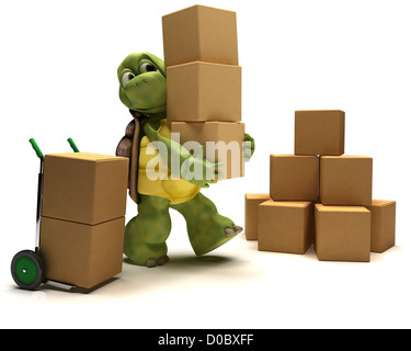 3D Render de la Tortue avec les caisses d'expédition Banque D'Images