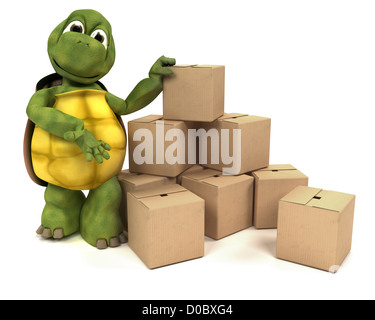 3D Render de la Tortue avec les caisses d'expédition Banque D'Images