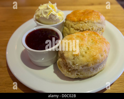 Cornish cream tea. Des scones avec de la confiture de fraise et crème caillée sur une plaque blanche. Banque D'Images