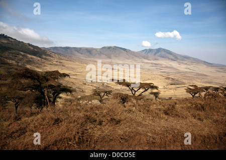 Ngorongoro Crater;la Ngorongoro Conservation Arena;Tanzanie;l'Afrique de l'Afrique; Banque D'Images