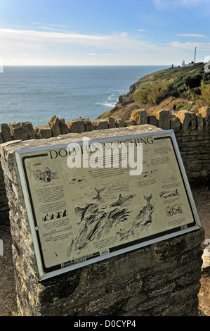 L'observation de dauphins à la tête du conseil d'information Durlston sur l'île de Purbeck le long de la Côte Jurassique, dans le Dorset, en Angleterre, Royaume-Uni Banque D'Images