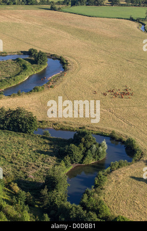 Un COUDE DE LA RIVIÈRE ET D'UN TROUPEAU DE VACHES AU BORD DE LA VALLÉE DE L'EURE ENTRE LOUVIERS ET PACY-SUR-EURE EURE (27) Normandie France Banque D'Images