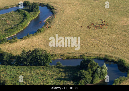 Un COUDE DE LA RIVIÈRE ET D'UN TROUPEAU DE VACHES AU BORD DE LA VALLÉE DE L'EURE ENTRE LOUVIERS ET PACY-SUR-EURE EURE (27) Normandie France Banque D'Images