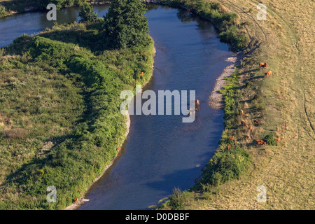 Un COUDE DE LA RIVIÈRE ET D'UN TROUPEAU DE VACHES AU BORD DE LA VALLÉE DE L'EURE ENTRE LOUVIERS ET PACY-SUR-EURE EURE (27) Normandie France Banque D'Images