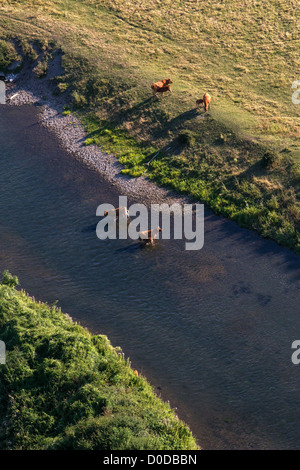 Un COUDE DE LA RIVIÈRE ET D'UN TROUPEAU DE VACHES AU BORD DE LA VALLÉE DE L'EURE ENTRE LOUVIERS ET PACY-SUR-EURE EURE (27) Normandie France Banque D'Images