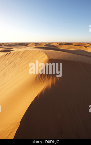 Dunes de sable au coucher du soleil, près de Laâyoune (El Aaiun), au Sahara Occidental, en Afrique du Nord Banque D'Images