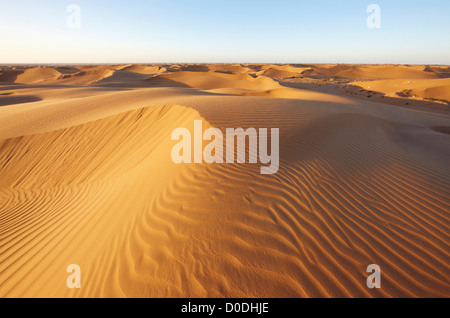 Dunes de sable au coucher du soleil, près de Laâyoune (El Aaiun), au Sahara Occidental, en Afrique du Nord Banque D'Images