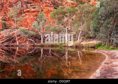 Ghost gum réflexions à Ellery Creek Big Hole, West MacDonnell Ranges au coucher du soleil à l'ouest d'Alice Springs dans le centre rouge du Territoire du Nord Banque D'Images