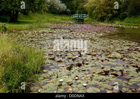 Pont de Monet sur le lac à Bennetts Water Gardens, Weymouth, Dorset. Banque D'Images