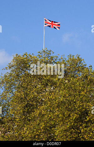 Les arbres d'automne avec l'Union Jack flag flying sur un fond de ciel bleu Banque D'Images