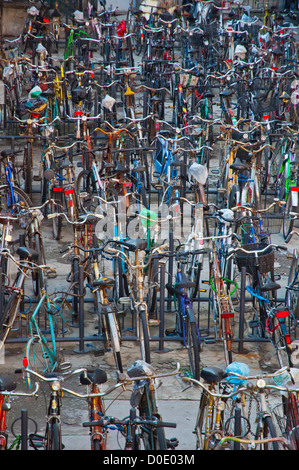 Les vélos garés devant la gare centrale de la ville de Bologne Émilie-Romagne Italie du nord Europe Banque D'Images