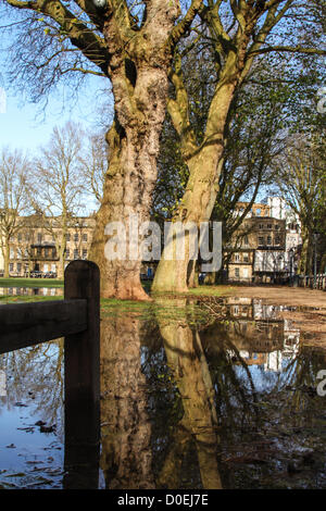Bristol, Royaume-Uni. 23 novembre 2012. Jours de fortes pluies ont laissé de grandes parties de la SW UK inondées. Après le soleil est revenu, Queen's Square, Bristol a été connecté de l'eau à gauche. Crédit : Rob Hawkins / Alamy Live News Banque D'Images