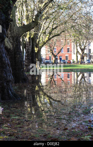 Bristol, Royaume-Uni. 23 novembre 2012. Jours de fortes pluies ont laissé de grandes parties de la SW UK inondées. Après le soleil est revenu, Queen's Square, Bristol a été connecté de l'eau à gauche. Crédit : Rob Hawkins / Alamy Live News Banque D'Images