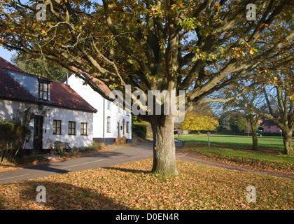 Gîte rural les feuilles d'automne Southwold, Suffolk, Angleterre Banque D'Images