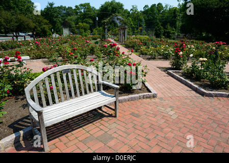 ARLINGTON, Virginie, États-Unis — le jardin de roses bon Air à Arlington, un jardin serein et magnifiquement aménagé avec une grande variété de roses. Les visiteurs se promènent le long des sentiers, admirant les fleurs vibrantes et les parfums. Le jardin offre une retraite tranquille et un endroit populaire pour la photographie et la détente. Banque D'Images